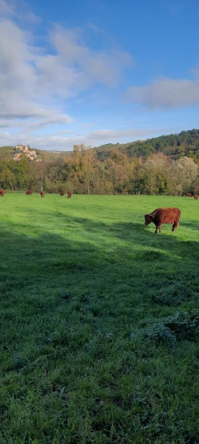 Villa Le Cocon Beaujolais Chatillon  Esterno foto